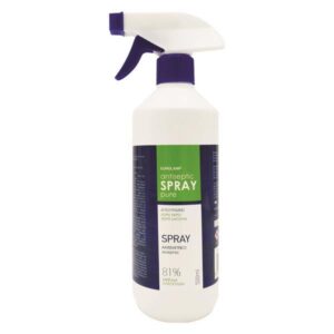 ΑΝΤΙΣΗΠΤΙΚΟ SPRAY ΧΕΡΙΩΝ 500ML ΜΕ ΕΝΕΡΓΟ ΟΞΥΓΟΝΟ EUROLAMP - 147-90822