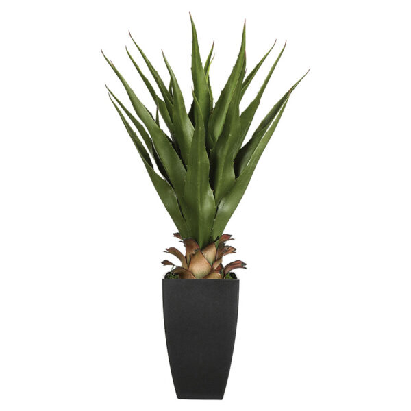 Potted plant Green 13 pakoworld 56x54x71cm 199-000490