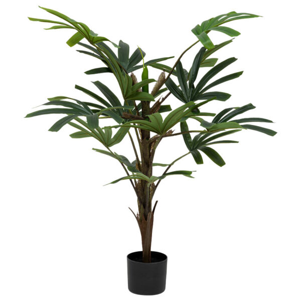 Potted plant Emeric pakoworld 15x13x120cm 199-000538