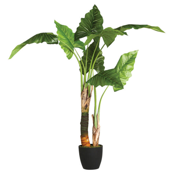 Potted plant Jovan pakoworld 125x100x124cm 199-000539