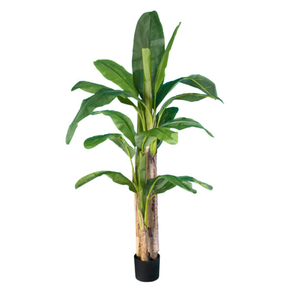 GloboStar® Artificial Garden BANANA TREE 20017 Τεχνητό Διακοσμητικό Φυτό Μπανανιά - Μπανανόδεντρο Υ180cm