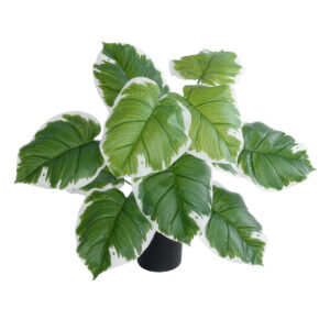 GloboStar® Artificial Garden WHITE HOSTA PLANT 20931 Διακοσμητικό Φυτό Λευκή Χόστα Φ60 x Υ55cm