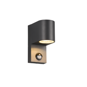 Φωτιστικό Τοίχου Trio Lighting ROYA 1x GU10 Ανθρακί Χυτό Αλουμίνιο IP44, Αισθητήρα κίνησης - 214260142
