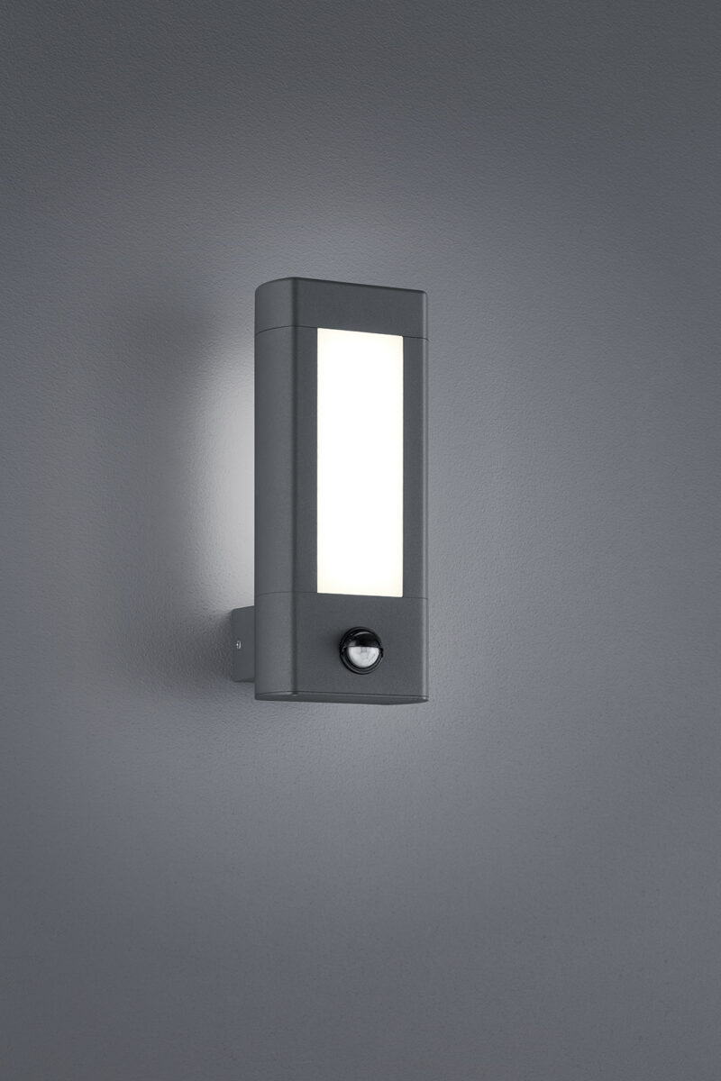 221669242.jpg