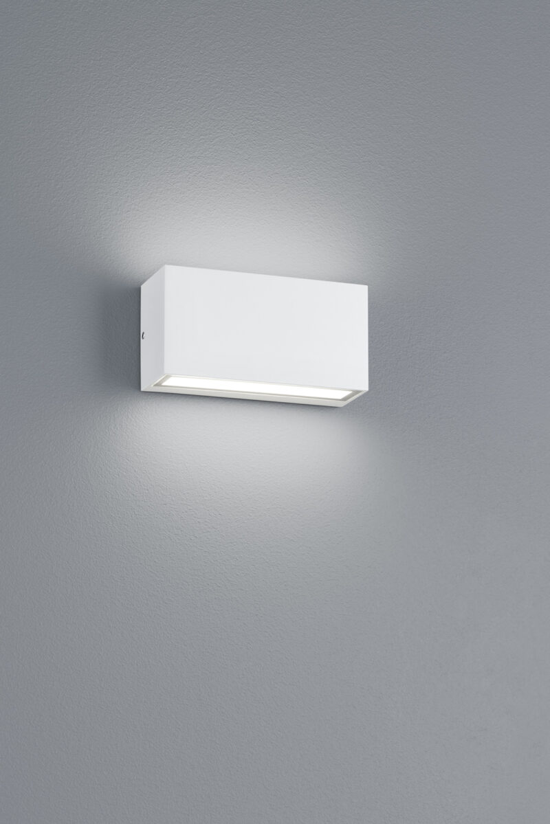 226960231.jpg