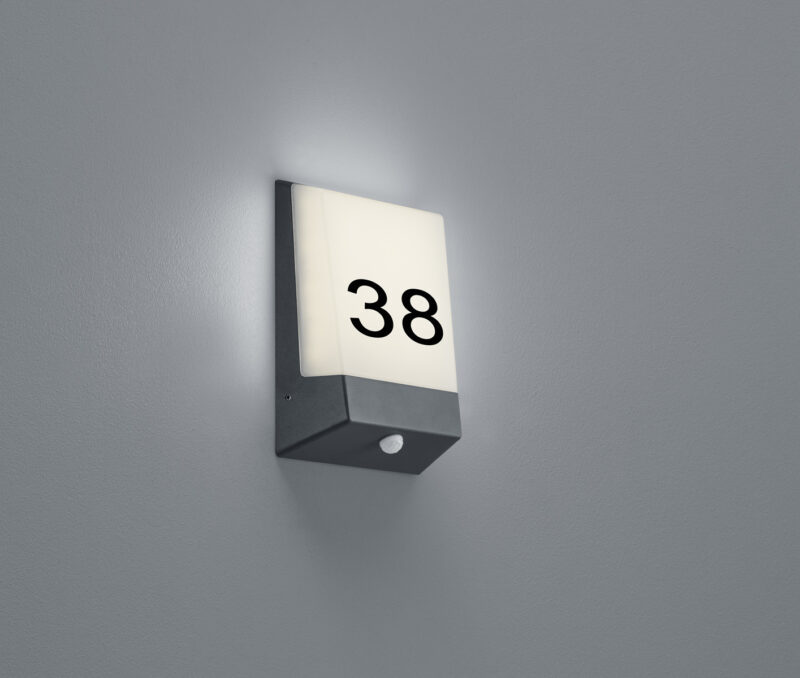 228669142.jpg