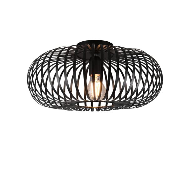 Φωτιστικό Οροφής Trio Lighting E27   Μαύρο Ματ Μεταλλικό    - 606900132