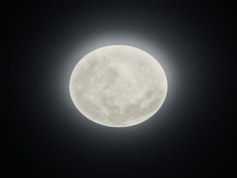 627514000-scaled-1.jpg