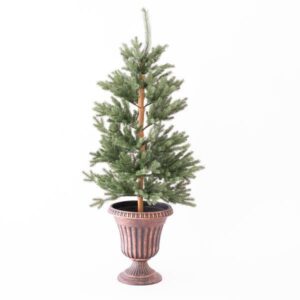 ΚΥΠΑΡΙΣΣΙ ΣΕ ΓΛΑΣΤΡΑΚΙ, 120cm EUROLAMP - 600-30489