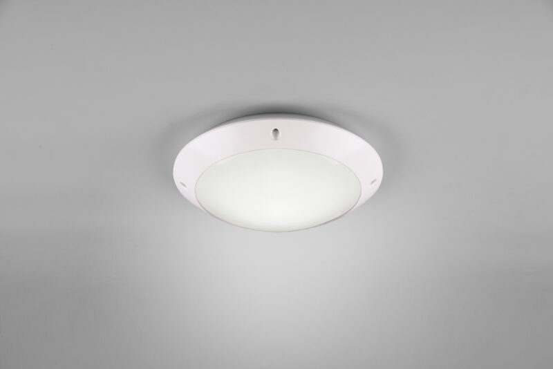 R60501031.jpg