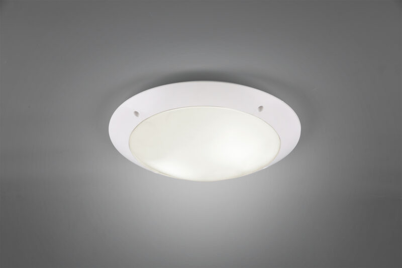 R60502031.jpg
