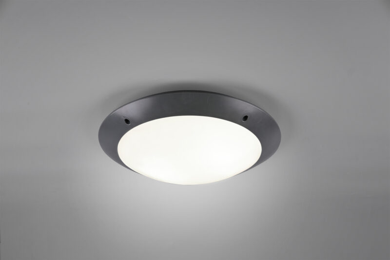 R60502042.jpg
