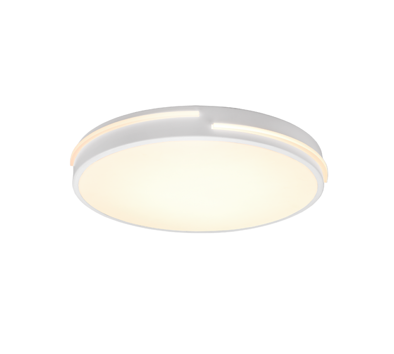 R62241131.png