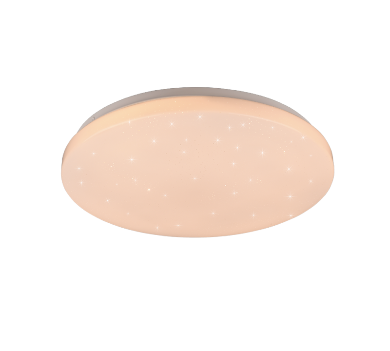 R62381100.png