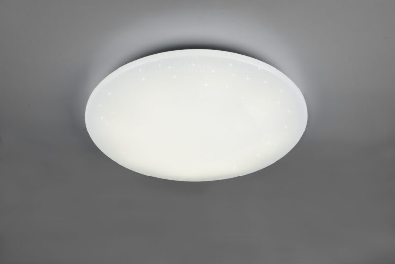 R65006000-scaled-1.jpg