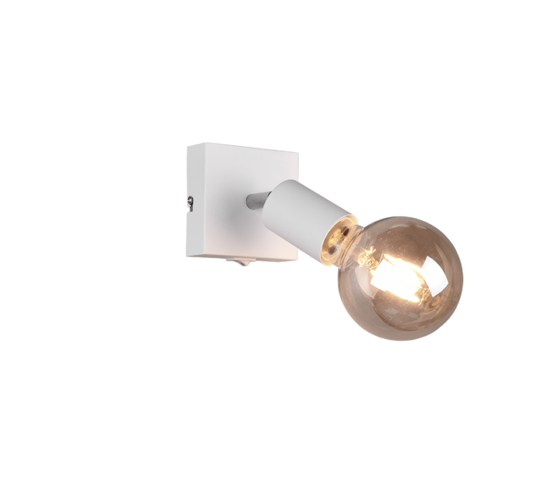 R80181731.png