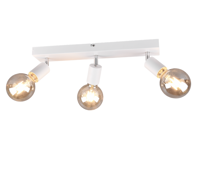 R80183031.png