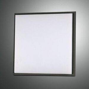 Φωτιστικό Οροφής  Fabas Luce Desdy LED 23W  Μαύρο  IP54 2700lm Θερμό 3000K - 3314-61-101