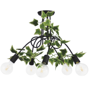 PLEX 5L EDEM -B- Heronia - 40-0037