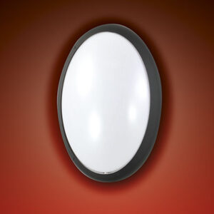 Φωτιστικό Τοίχου  Fabas Luce Preston E27 Μαύρο  IP65   - 6712-08-964