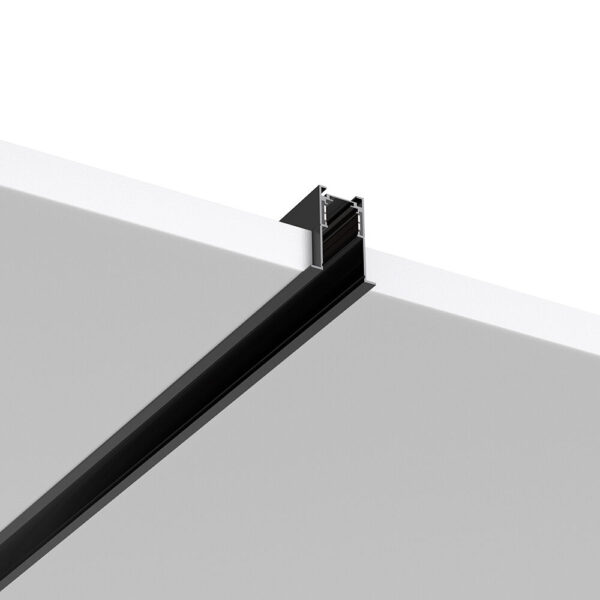BRY-RC01-2M-48VDC-38.5×48.5mm-BLC-MAG.RAIL - BY41-00421