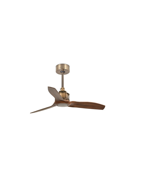 JUST FAN XS O810 MM OLD GOLD 3 B. WOOD - 1-FR33428