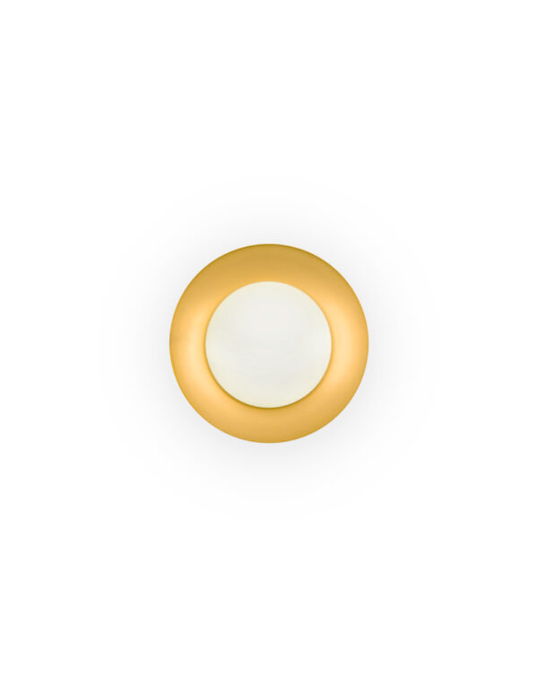 SIDE LED BLACK AND GOLD CEILING LAMP G9 - 1-FR62134