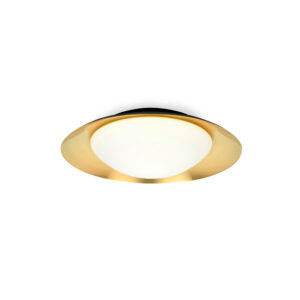 SIDE LED BLACK AND GOLD CEILING LAMP 15W - 1-FR62142