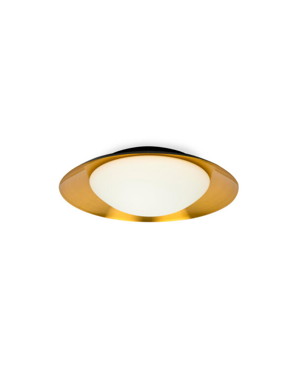 SIDE LED BLACK/COPPER CEILING LAMP 15W - 1-FR62143