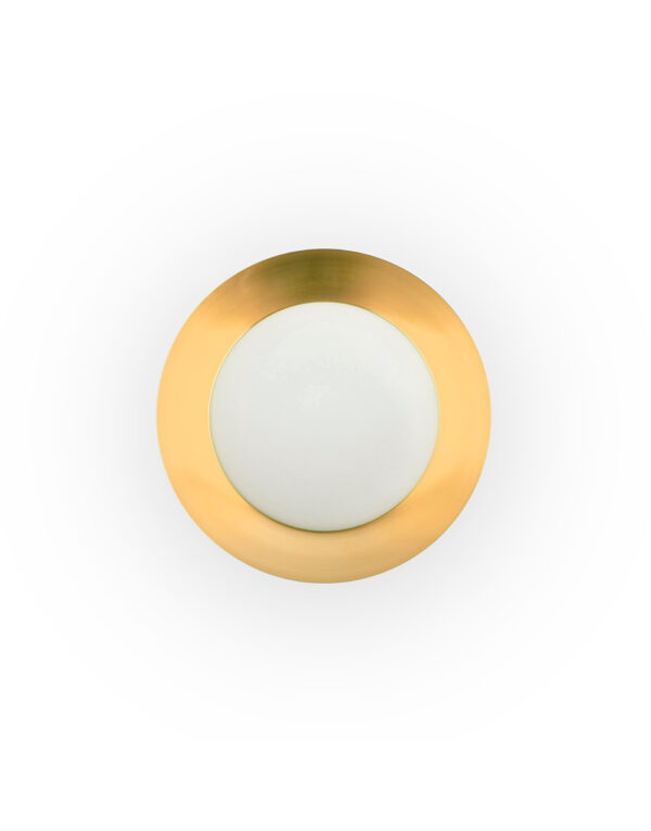 SIDE LED BLACK AND GOLD CEILING LAMP 20W 3000K - 1-FR62146