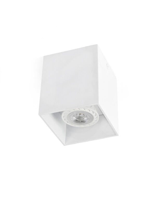 TECTO WHITE CEILING LAMP 1 X GU10 - 1-FR63270