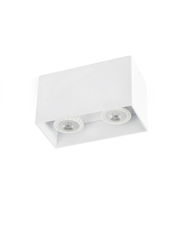 TECTO WHITE CEILING LAMP 2 X GU10 - 1-FR63272