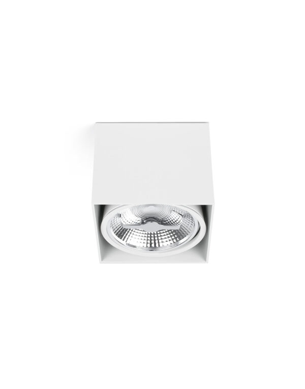 TECTO WHITE CEILING LAMP 1 X AR111 50W - 1-FR63274