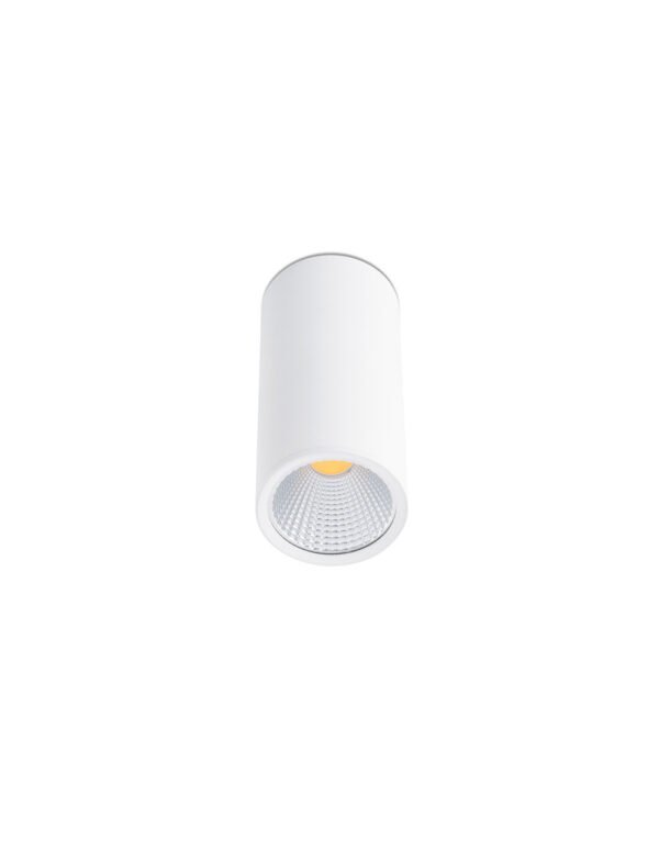 REL WHITE CEILING LAMP LED 15W 60° 2700K - 1-FR64198