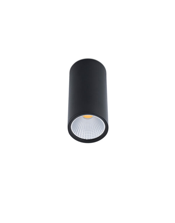 REL BLACK CEILING LAMP LED 15W 60° 2700K - 1-FR64199