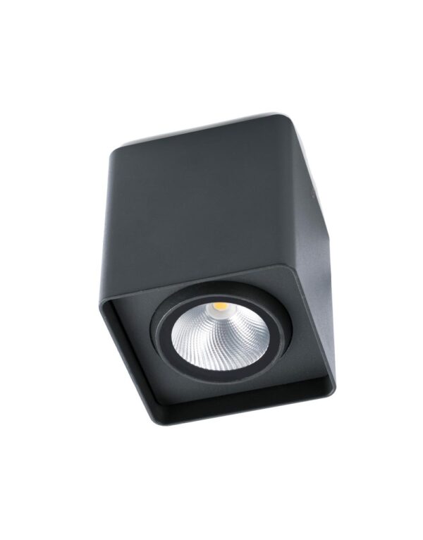 TAMI LED DARK GREY CEILING LAMP CREE LED 9W 3000K - 1-FR70799