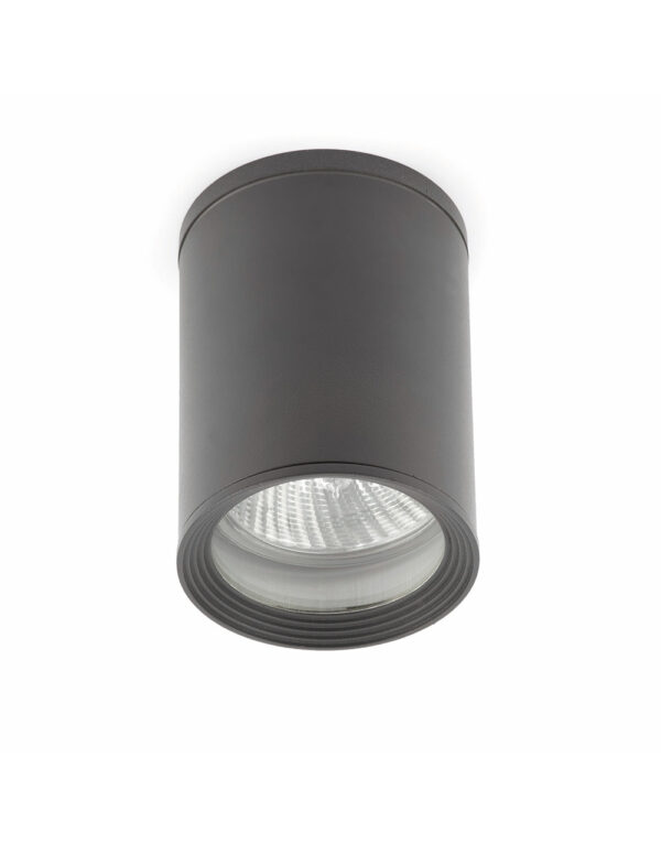 TASA DARK GREY CEILING LAMP 1 X PAR30 75W - 1-FR70806