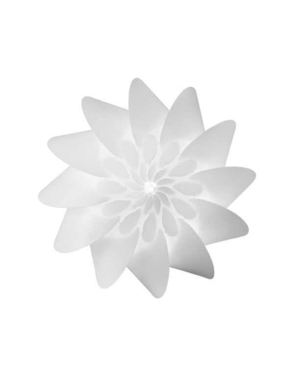 ALVA Medium 24,5 x 42 cm - 1-UM2102