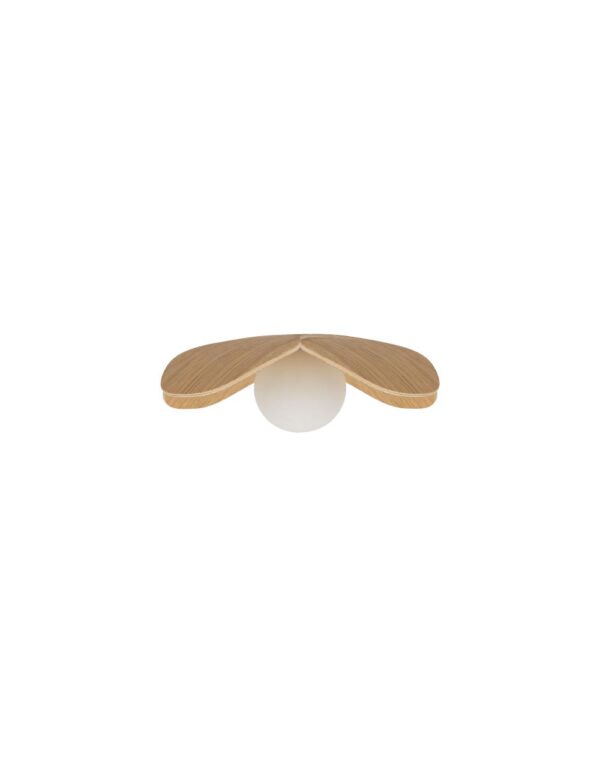 Forget Me Not Mini oak O 19 x 4 cm - 1-UM2219