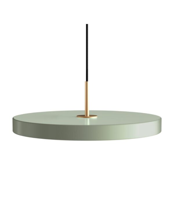 Asteria Medium - Nuance Olive 43 x 14 cm, 2.7m cordset - 1-UM2421