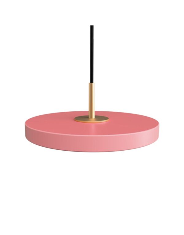 Asteria Micro - Nuance Rose 15 x 5,7cm, 2.7m cordset - 1-UM2427