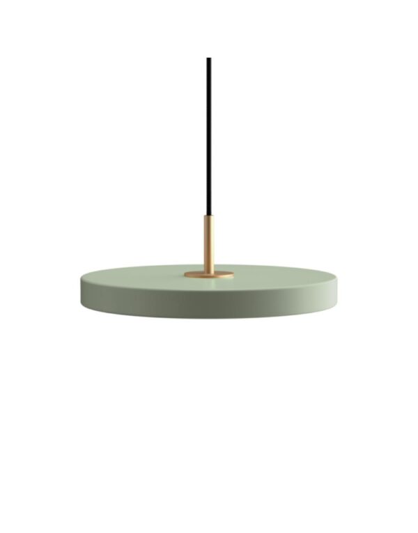 Asteria Mini - Nuance Olive 31 x 10,5 cm, 2.7m cordset - 1-UM2431
