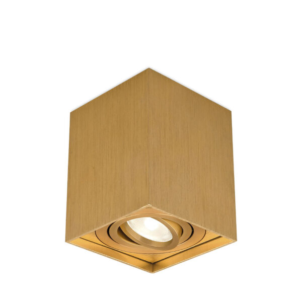 BRY-GAMA-8010-SQR-GLD-GU10-SPOTLIGHT - BH04-00316