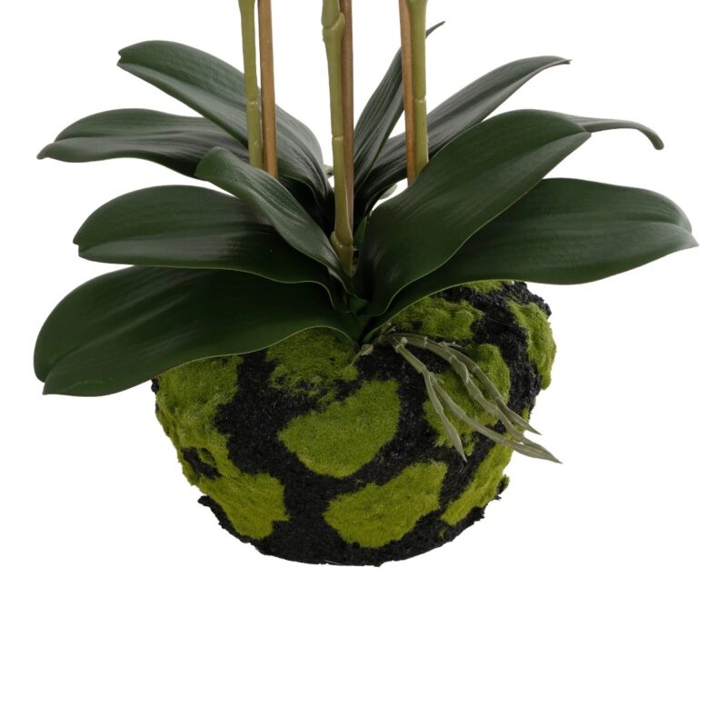 GloboStar® Artificial Garden BUTTERFLY ORCHID BONSAI 21400 Τεχνητό Διακοσμητικό Φυτό Ορχιδέα Μ34 x Π27 x Υ65cm