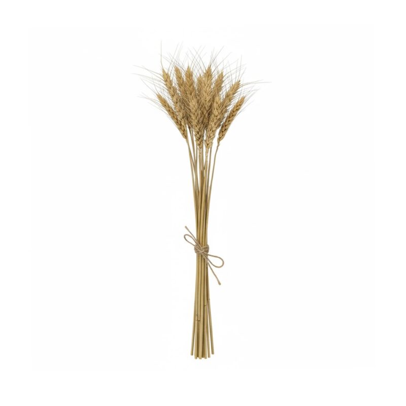 GloboStar® Artificial Garden REAL DRIED WHEAT GRASS 21488 Τεχνητό Διακοσμητικό Κλαδί Σιταριού Y30cm – Σετ 10 τμχ