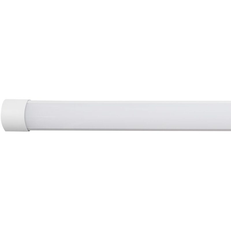 24218-p1.jpg
