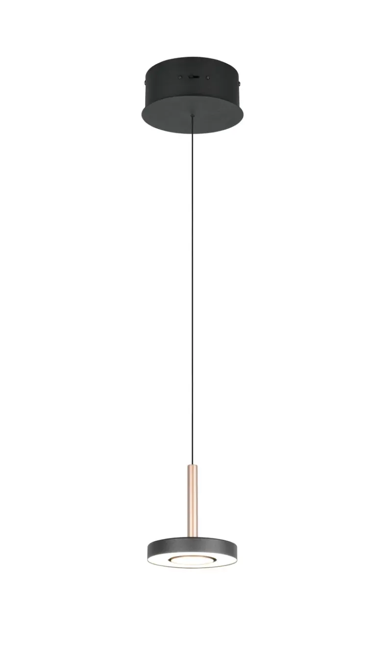 Trio Lighting – 334410165 GUANO Κρεμαστό Φωτιστικό Σποτ LED 8W 850lm Step Dimmable CCT Μαύρο & Καφέ