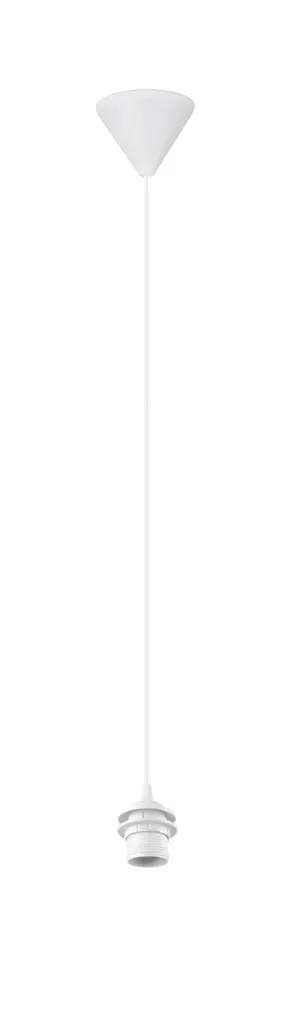 359100101.webp