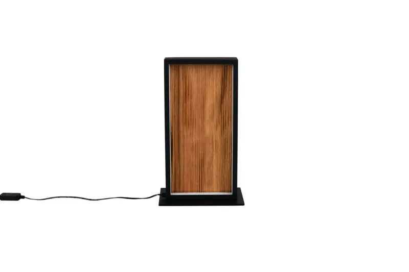 Trio Lighting – 555510130