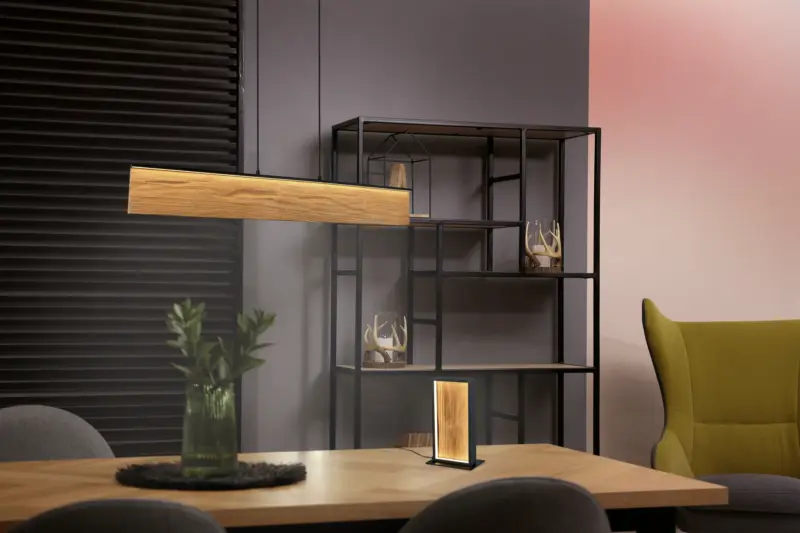 Trio Lighting – 555510130